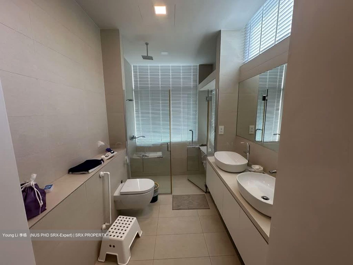 Belle Vue Residences (D9), Condominium #560869761